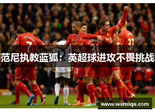 范尼执教蓝狐：英超球进攻不畏挑战